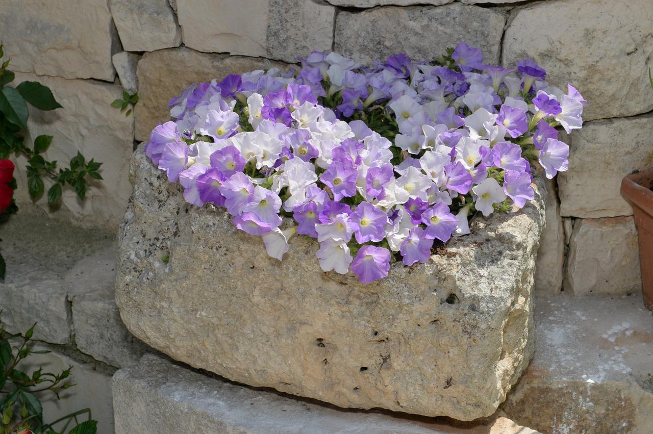 Astra Bed and Breakfast Alberobello Buitenkant foto