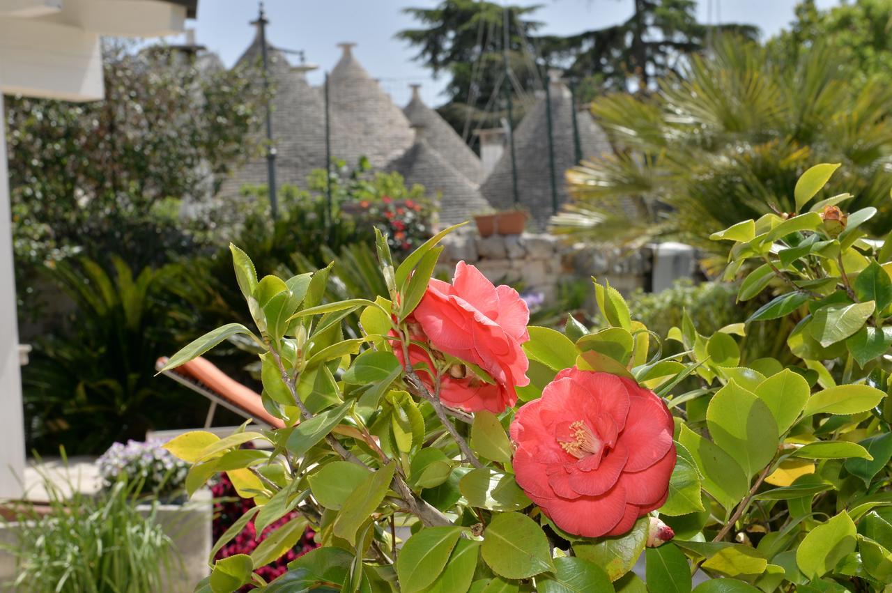 Astra Bed and Breakfast Alberobello Buitenkant foto